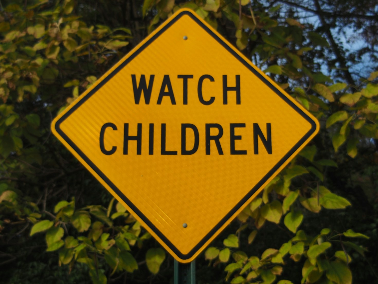 Understanding the Impact of Digital Exploitation on Minors